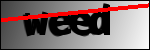 Text k určení